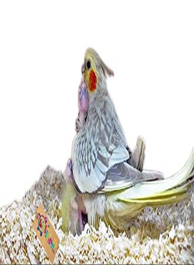 Western Era Natural Wood Shaving Soft Nesting Material for Birds (1Kg) - Image 2